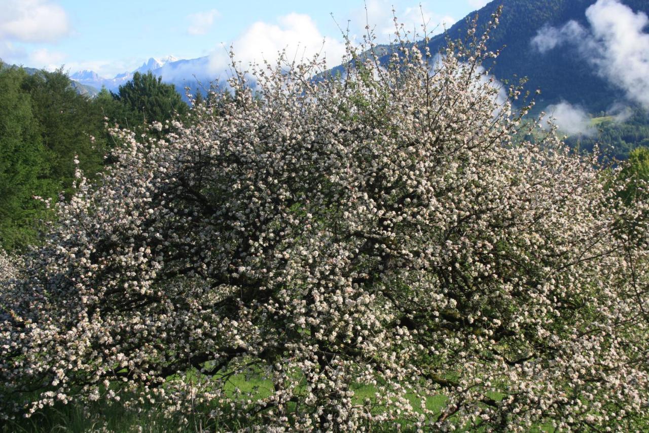 Diffuso