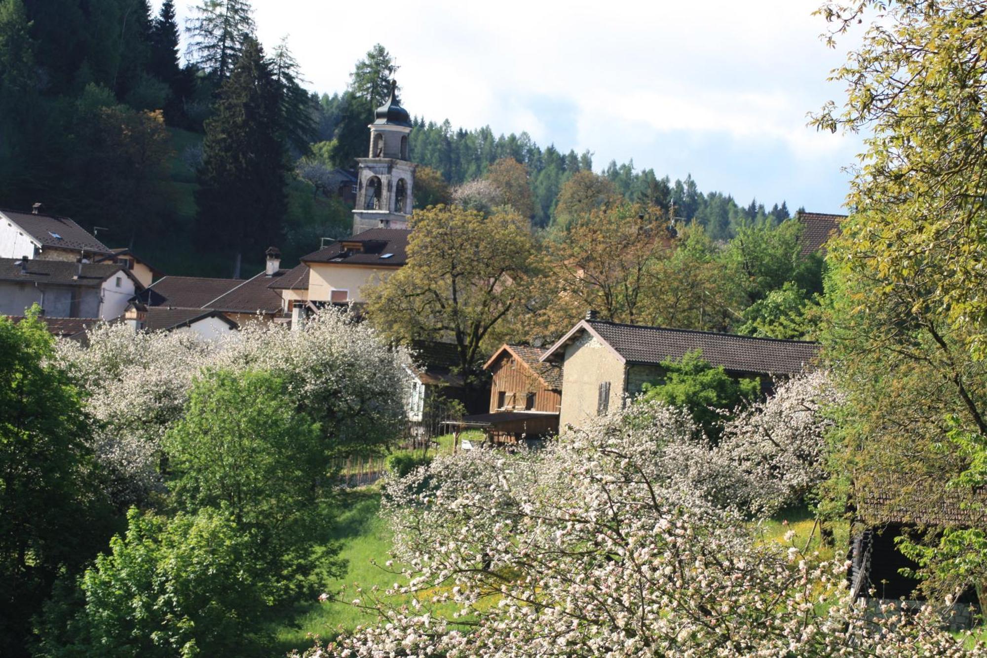 Diffuso Faller