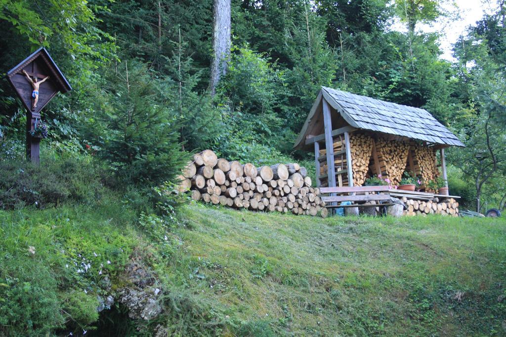 Hébergement de vacances Diffuso Faller