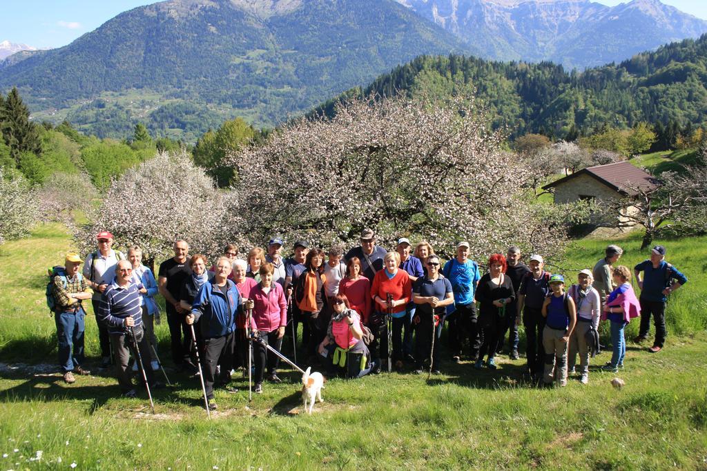 Diffuso Hébergement de vacances Faller